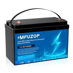 Акумулятор LiFePO4 MFUZOP-04 12,8V 100Ah з BMS, літій-залізо-фосфатна батарея для ДБЖ, RV, сонячних систем Синій 117372 фото