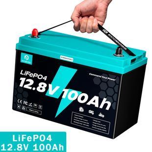 Аккумулятор литий-железо-фосфатный ECOBOSS 12.8V 100Ah (6000 циклов) с BMS 117873 фото