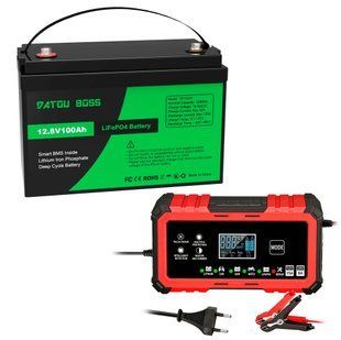 Набір Літій-залізо-фосфатна батарея 12V 100 Ah LiFePO4 з зарядкою 12V 15A - 24V 8A для сонячних систем та RV 117822 фото