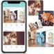 Бездротова Wi-Fi камера Spreest WF-ES56 з дистанційним переглядом руху для охорони дому 1920 x 1080P Білий 116945 фото 5