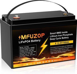 Акумулятор LiFePO4 MFUZOP-03 12,8V 100Ah з BMS, літій-залізо-фосфатна батарея для ДБЖ, RV, сонячних систем 117348 фото